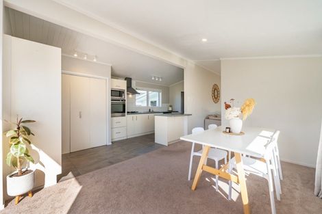 Photo of property in 41 Lincoln Avenue, Epuni, Lower Hutt, 5011