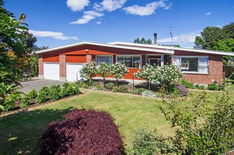 Photo of property in 23 Plunket Street, Solway, Masterton, 5810