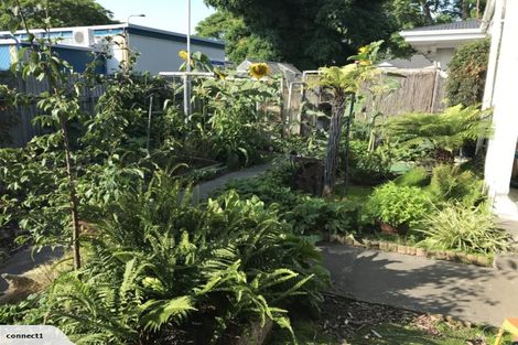 Photo of property in 3/29 Mcdonald Street, Napier South, Napier, 4110