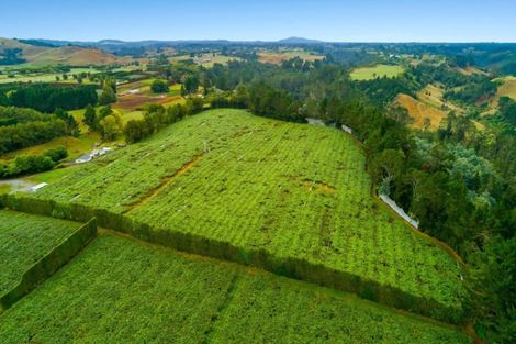 Photo of property in 37 Jacks Lane, Oropi, Tauranga, 3173