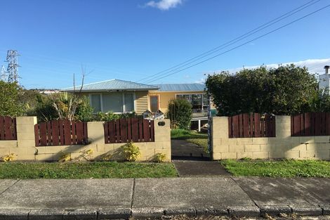 Photo of property in 50 Ellis Avenue, Mount Roskill, Auckland, 1041