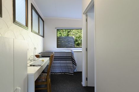 Photo of property in 313 Youngson Road, Whakamarama, Tauranga, 3179