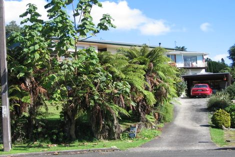 Photo of property in 15 Newell Place, Putaruru, 3411