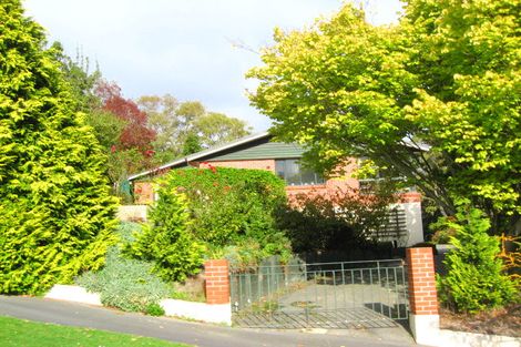 Photo of property in 44 Glendining Avenue, North East Valley, Dunedin, 9010