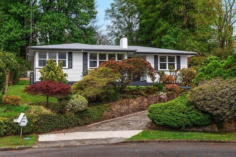 Photo of property in 14 Norrie Place, Putaruru, 3411