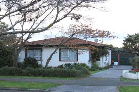 Photo of property in 46 Guy Avenue, Takaro, Palmerston North, 4410