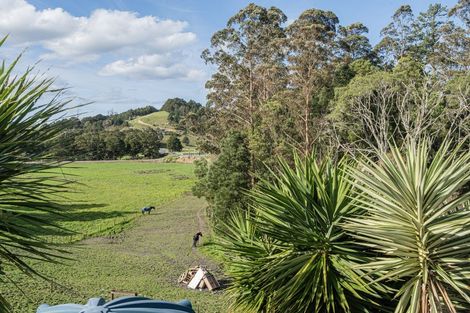 Photo of property in 307 Whananaki North Road, Opuawhanga, Hikurangi, 0181