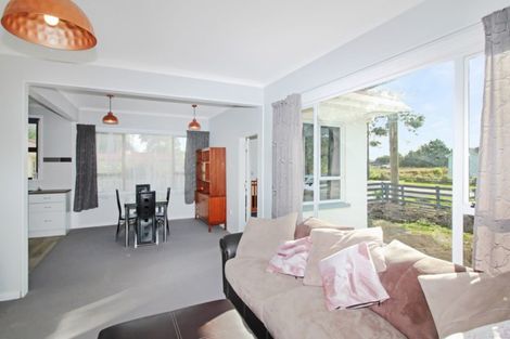 Photo of property in 15 French Street, Marton, 4710