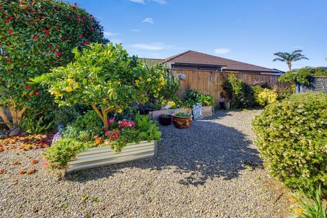 Photo of property in 76 Hillcrest Road North, Raumati Beach, Paraparaumu, 5032
