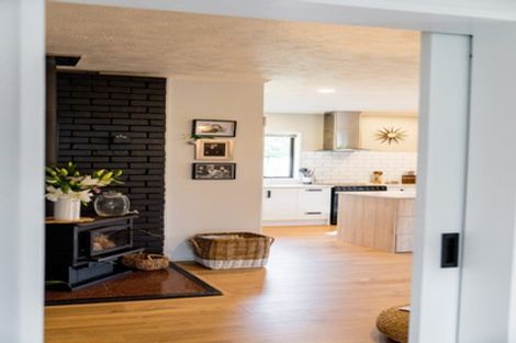 Photo of property in 162 Somerville Street, Waverley, Dunedin, 9013