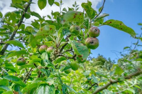 Photo of property in 660 Taylorville Road, Taylorville, Greymouth, 7805