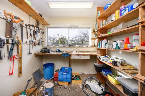 Photo of property in 113 Long Melford Road, Awapuni, Palmerston North, 4412