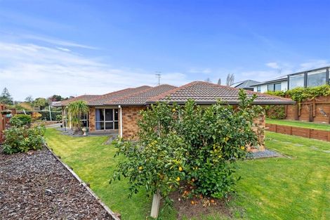 Photo of property in 87 Awaiti Place, Hairini, Tauranga, 3112