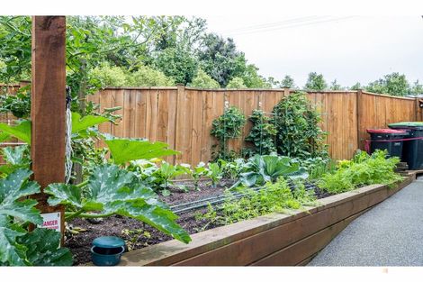 Photo of property in 21 Hewlings Street, Geraldine, 7930