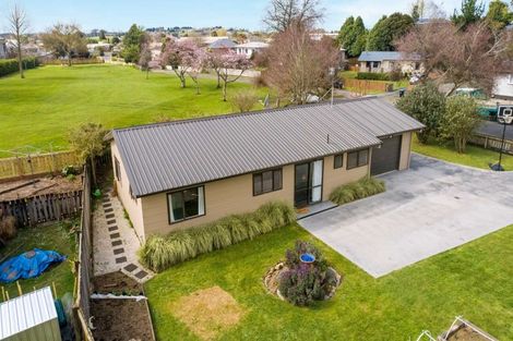 Photo of property in 179 Finch Street, Te Awamutu, 3800