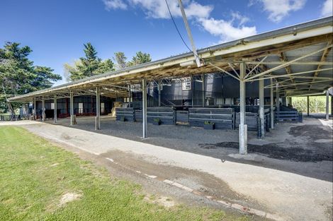 Photo of property in 1268 Taihape Road, Sherenden, Hastings, 4179