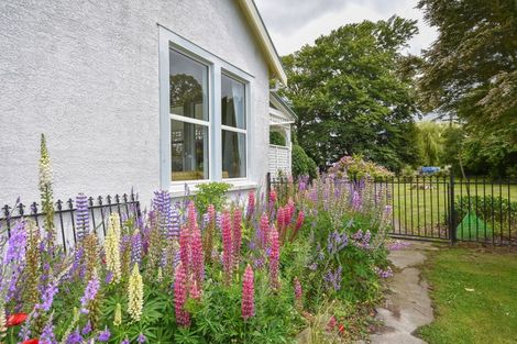 Photo of property in 163 Union Street, Milton, 9220