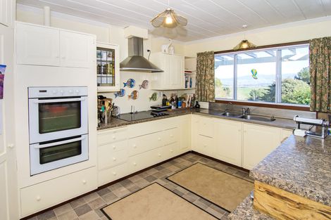 Photo of property in 132 Kaka Amu Road, Rangitumau, Masterton, 5871