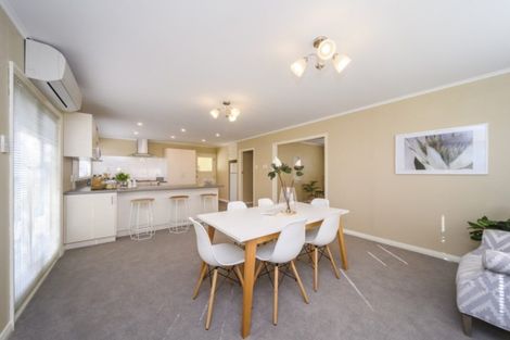 Photo of property in 20 Newhaven Place, Roslyn, Palmerston North, 4414