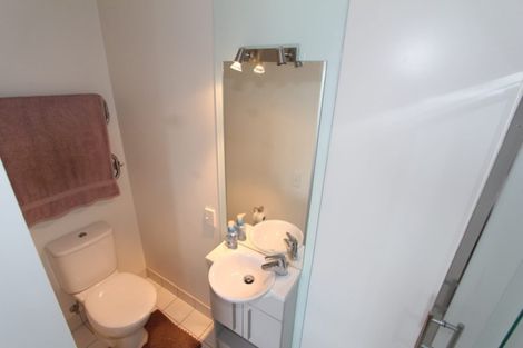 Photo of property in Luna Apartments, 3t/16 Burton Street, Grafton, Auckland, 1010