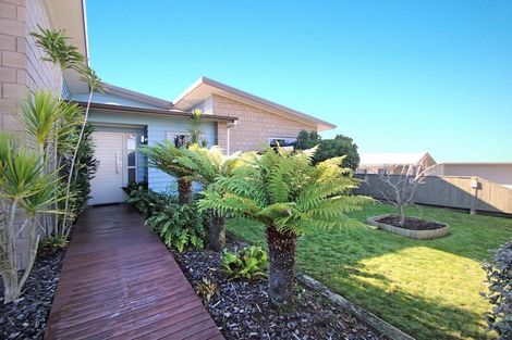 Photo of property in 151 Carmichael Road, Bethlehem, Tauranga, 3110