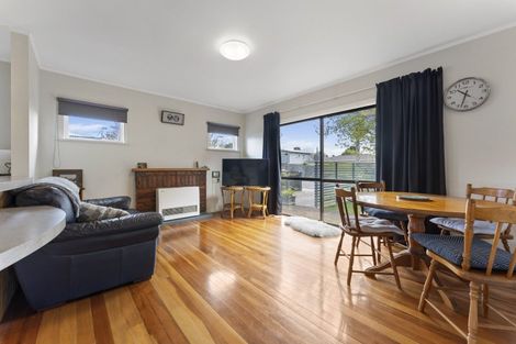 Photo of property in 31 Windsor Street, Terrace End, Palmerston North, 4410