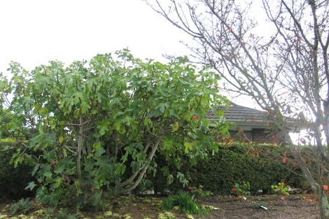 Photo of property in 44 Pencarrow Street, Highbury, Palmerston North, 4412