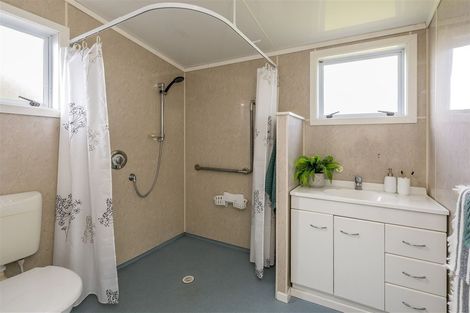 Photo of property in 11 Duke Street, Levin, 5510