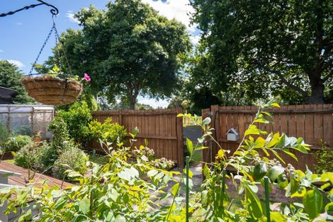 Photo of property in 52 Shelley Street, Leamington, Cambridge, 3432