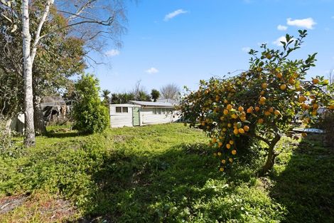 Photo of property in 10 Holland Road, Fairfield, Hamilton, 3214