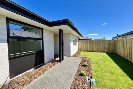 Photo of property in 13 Kildare Street, Belfast, Christchurch, 8051