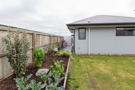 Photo of property in 8 Blue Jean Avenue, Rolleston, 7614