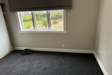 Photo of property in 33 Hinau Street, Maeroa, Hamilton, 3200