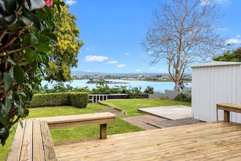 Photo of property in 50 Milton Road, Otumoetai, Tauranga, 3110