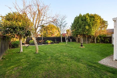 Photo of property in 14 Bains Avenue, Hamilton East, Hamilton, 3216