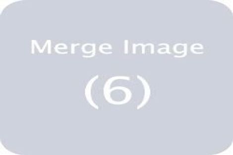 Photo of property in 13 Punga Road, Whenuapai, Auckland, 0618