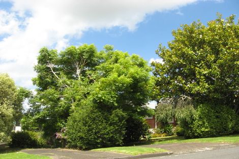 Photo of property in 310 Upper Queen Street, Pukekohe, 2120
