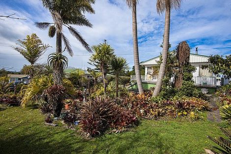 Photo of property in 164 Hokianga Road, Dargaville, 0310