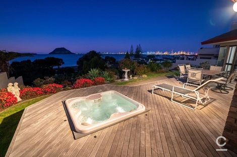 Photo of property in 151 Ngatai Road, Otumoetai, Tauranga, 3110