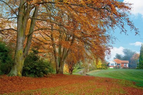 Photo of property in 899 Palmerston-waikouaiti Road, Goodwood, Palmerston, 9481