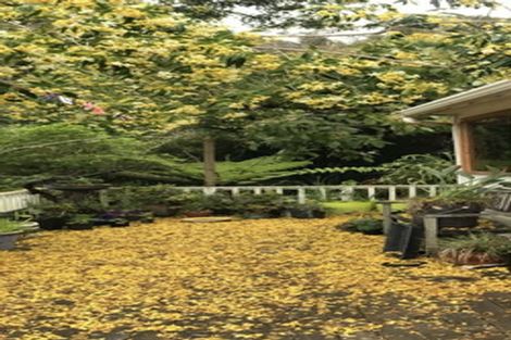 Photo of property in 19 Causeway Road, Haruru, 0204