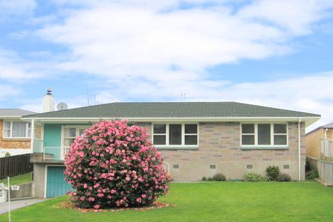 Photo of property in 22 Lynwood Place, Brookfield, Tauranga, 3110