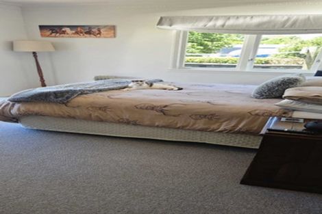 Photo of property in 268 New Renwick Road, Burleigh, Blenheim, 7272