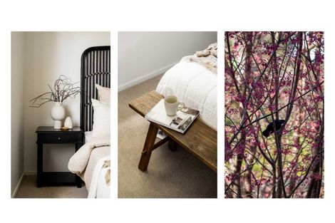 Photo of property in 14 Hastings Street, Te Puke, 3119