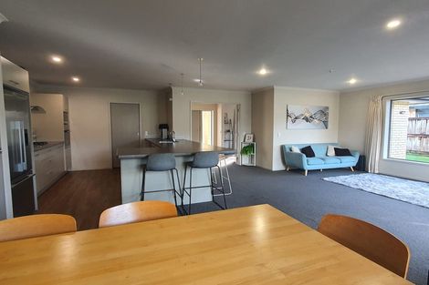 Photo of property in 14 Hector Drive, Rototuna North, Hamilton, 3210