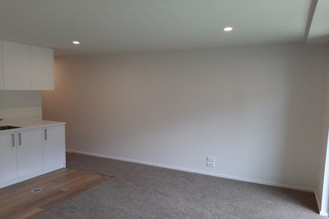 Photo of property in 118 Salisbury Street, Ashhurst, 4810