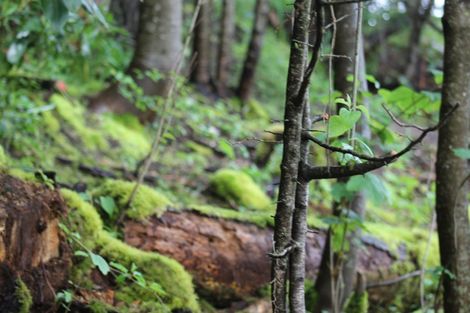 Photo of property in 7 Utuhia Place, Ohakune, 4625