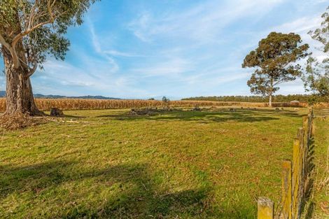 Photo of property in 268 Matawai Road, Waerengaahika, Gisborne, 4071