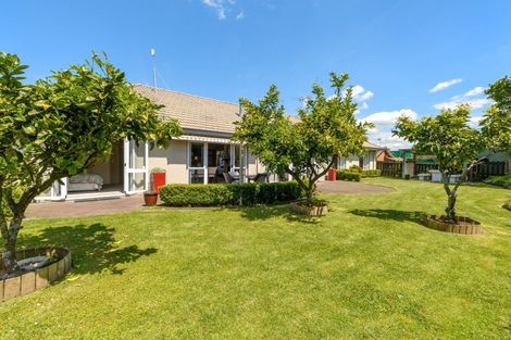 Photo of property in 6 Cherry Way, Bethlehem, Tauranga, 3110