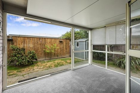 Photo of property in 180a College Street, Awapuni, Palmerston North, 4412